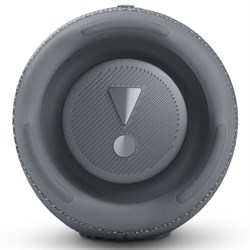 Портативная акустика JBL Charge 5 4116 - фото 18258