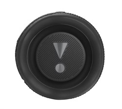 Беспроводная колонка JBL Flip 6 4919 - фото 21834