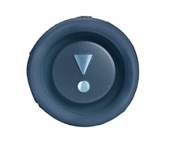 Беспроводная колонка JBL Flip 6 4919 - фото 21837