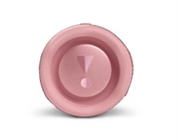 Беспроводная колонка JBL Flip 6 4919 - фото 21839