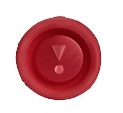 Беспроводная колонка JBL Flip 6 4919 - фото 21844