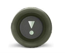 Беспроводная колонка JBL Flip 6 4919 - фото 21847