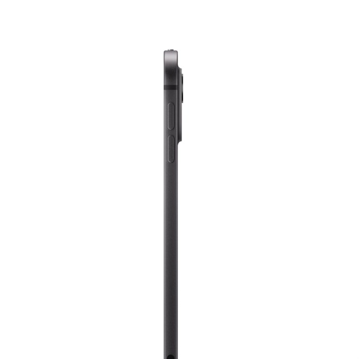 Планшет Apple iPad Pro 11", 256 ГБ, Wi-Fi (2024) 5665 - фото 27048