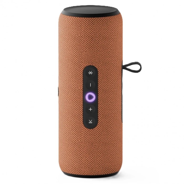 Беспроводная уличная колонка Яндекс Стрит 6349 - фото 38367