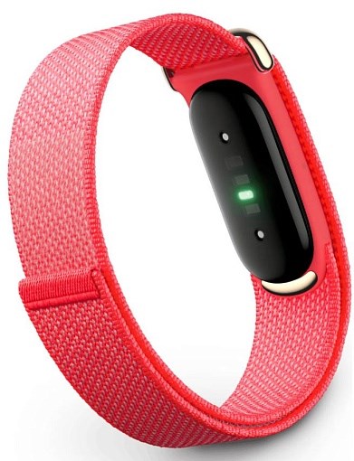 Фитнес-браслет Google Fitbit Air 7120 - фото 41041