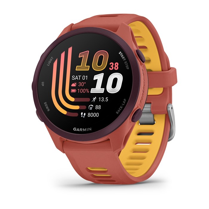 Часы Garmin Forerunner 170 Music 7156 - фото 41196