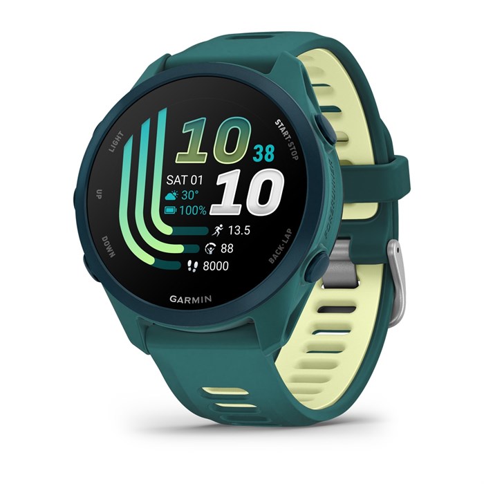 Часы Garmin Forerunner 170 Music 7156 - фото 41199