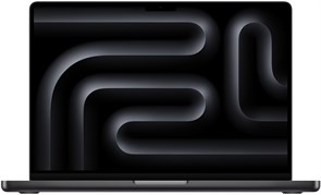 Ноутбук Apple MacBook Pro 14&amp;quot; (M4 10C CPU, 10C GPU, 2024) 16 ГБ, 1 ТБ SSD 6009